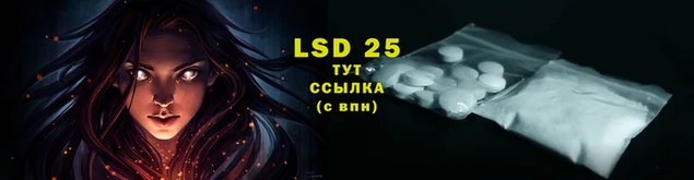 прущие грибы Лиски