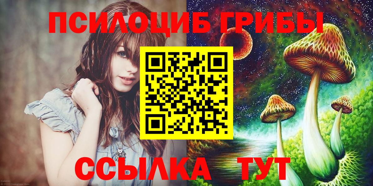Галлюциногенные грибы Psilocybine cubensis  хочу   Липецк 