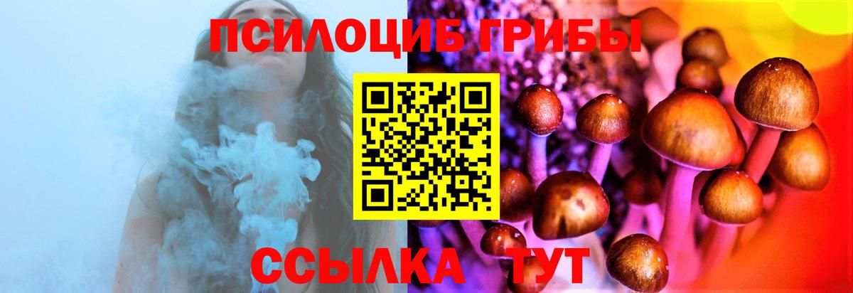 Галлюциногенные грибы Magic Shrooms Липецк